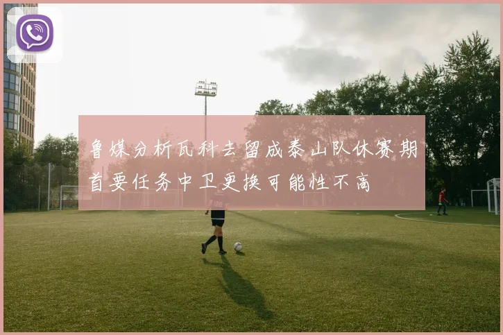 鲁媒分析瓦科去留成泰山队休赛期首要任务中卫更换可能性不高