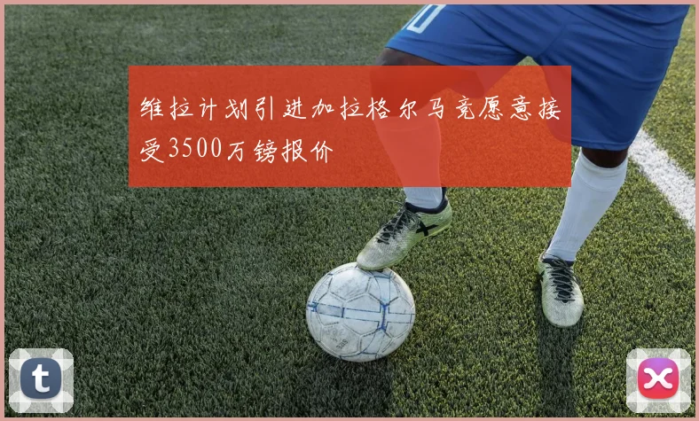 维拉计划引进加拉格尔马竞愿意接受3500万镑报价