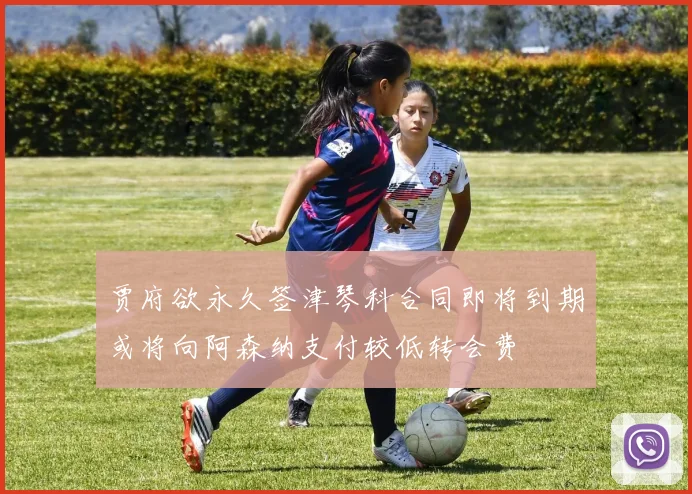 贾府欲永久签津琴科合同即将到期或将向阿森纳支付较低转会费