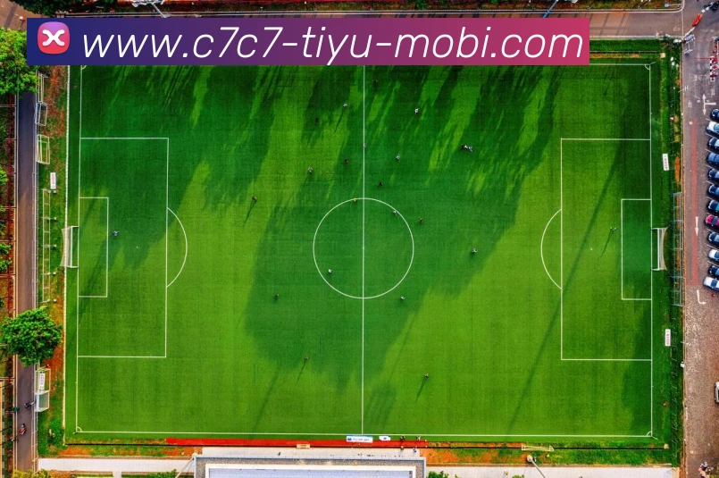 C7C7娱乐发展历程